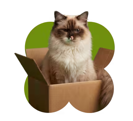 30-day guarantee badge with cat in a box