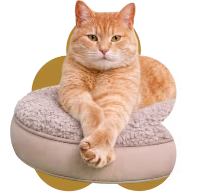 Sustainable natural materials badge with orange cat